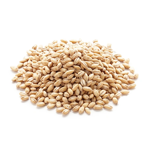 جو پوست کنده ( حبوبات )