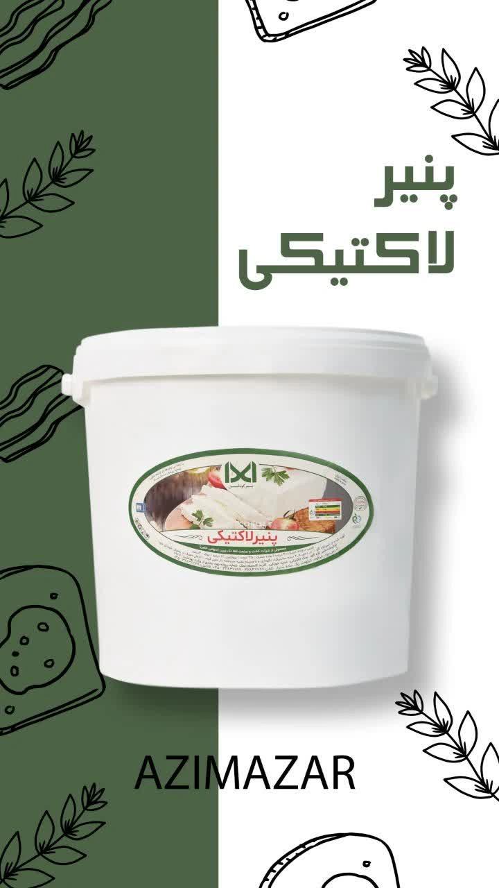 پنیر لاکتیکی سطلی اعلا 9 کیلویی